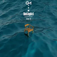 Jeem Dj — Mockingbird — обложка